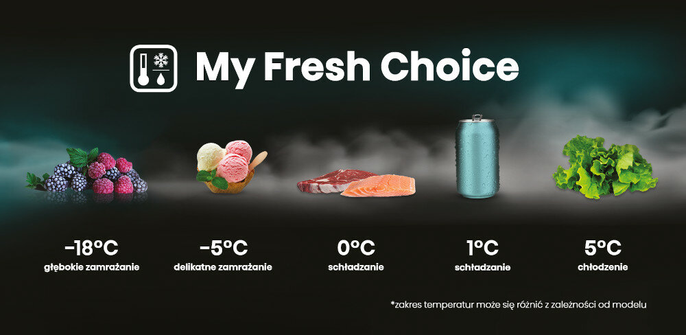 HISENSE komora komora lodówka potrzeby zakres regulacja temperatura głębokie mrożenie