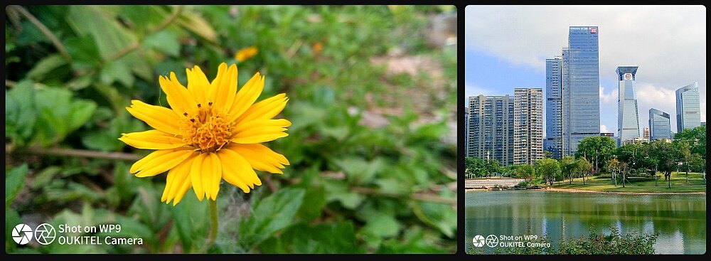 Smartfon OUKITEL WP9  ekran wydajność pamięć procesor ram bateria pojemność rozdzielczość aparat zdjęcia filmy obudowa  