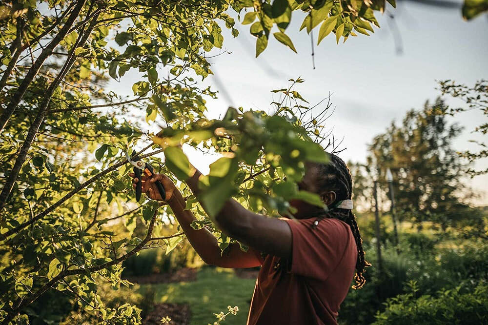 Sekator ręczny FISKARS Solid P321 - Zadbany ogród
