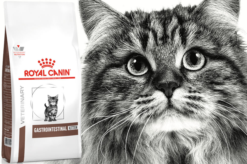 Karma dla kota ROYAL CANIN Gastrointestinal Kitten 2 kg naturalne składniki