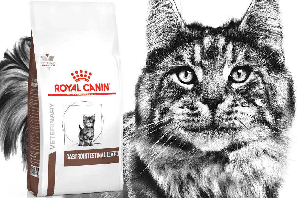 Karma dla kota ROYAL CANIN Gastrointestinal Kitten 2 kg dawkowanie analiza sklad