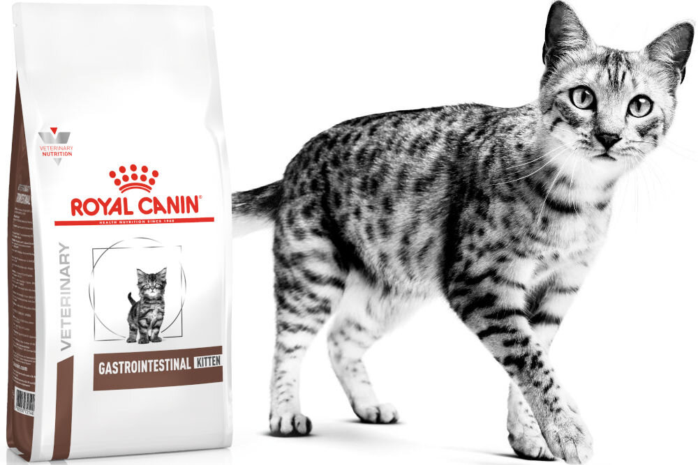 Karma dla kota ROYAL CANIN Gastrointestinal Kitten 2 kg witaminy pierwiastki aminokwasy