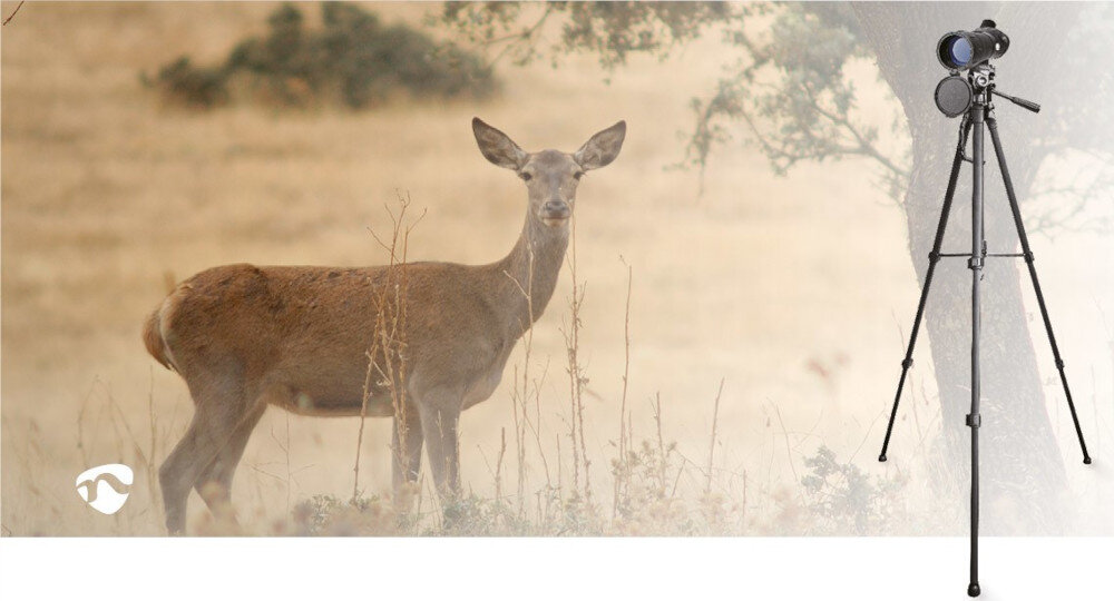 Obraz przedstawia jelenia stojącego na tle suchego krajobrazu oraz czarną lunetę na statywie. W lewym dolnym rogu widoczne jest logo w kształcie białej sylwetki zwierzęcia.