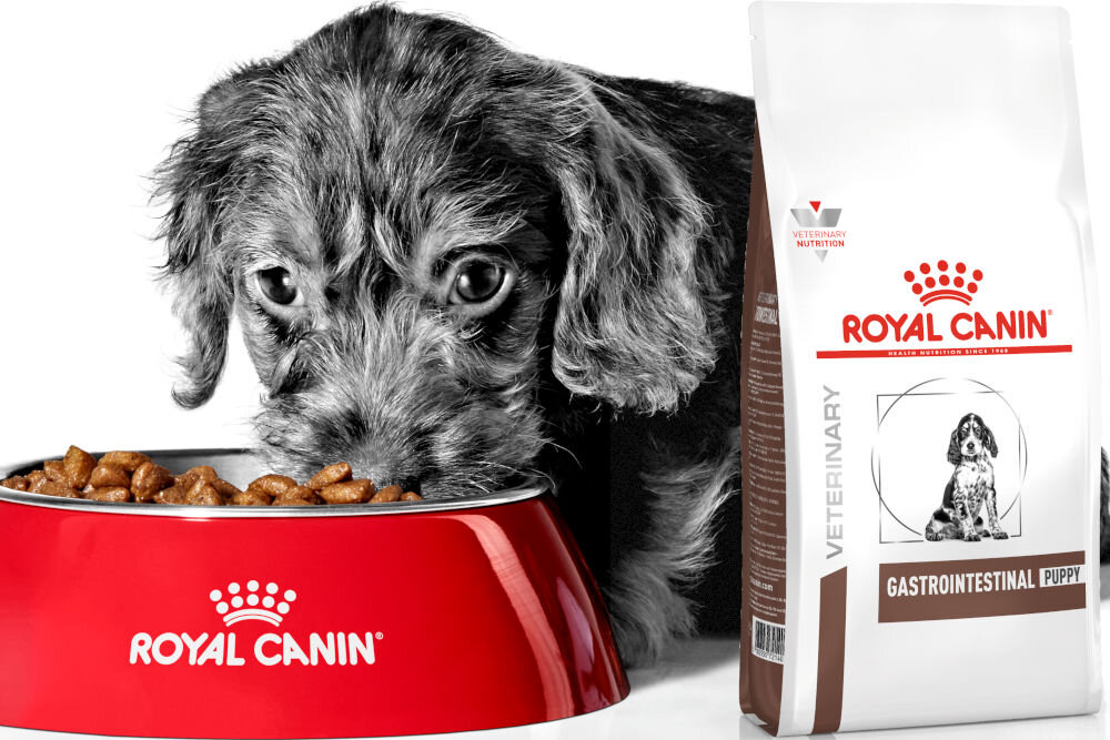 Karma dla psa ROYAL CANIN Gastrointestinal Puppy 1 kg naturalne składniki