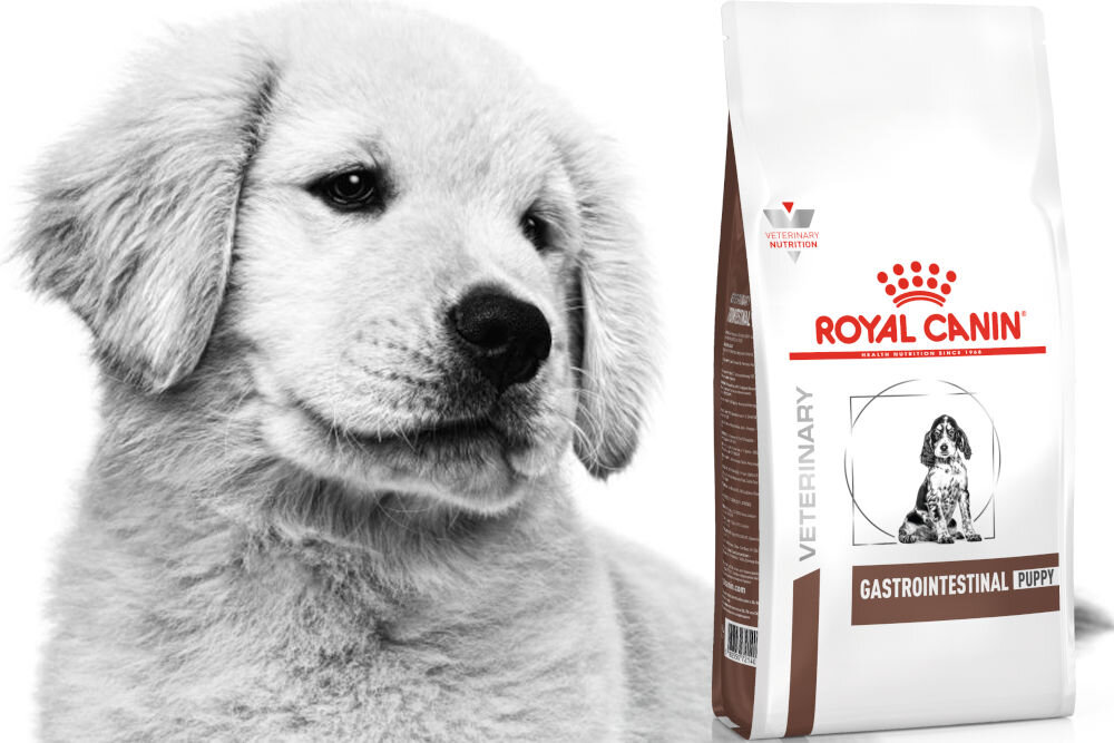 Karma dla psa ROYAL CANIN Gastrointestinal Puppy 1 kg dawkowanie analiza sklad