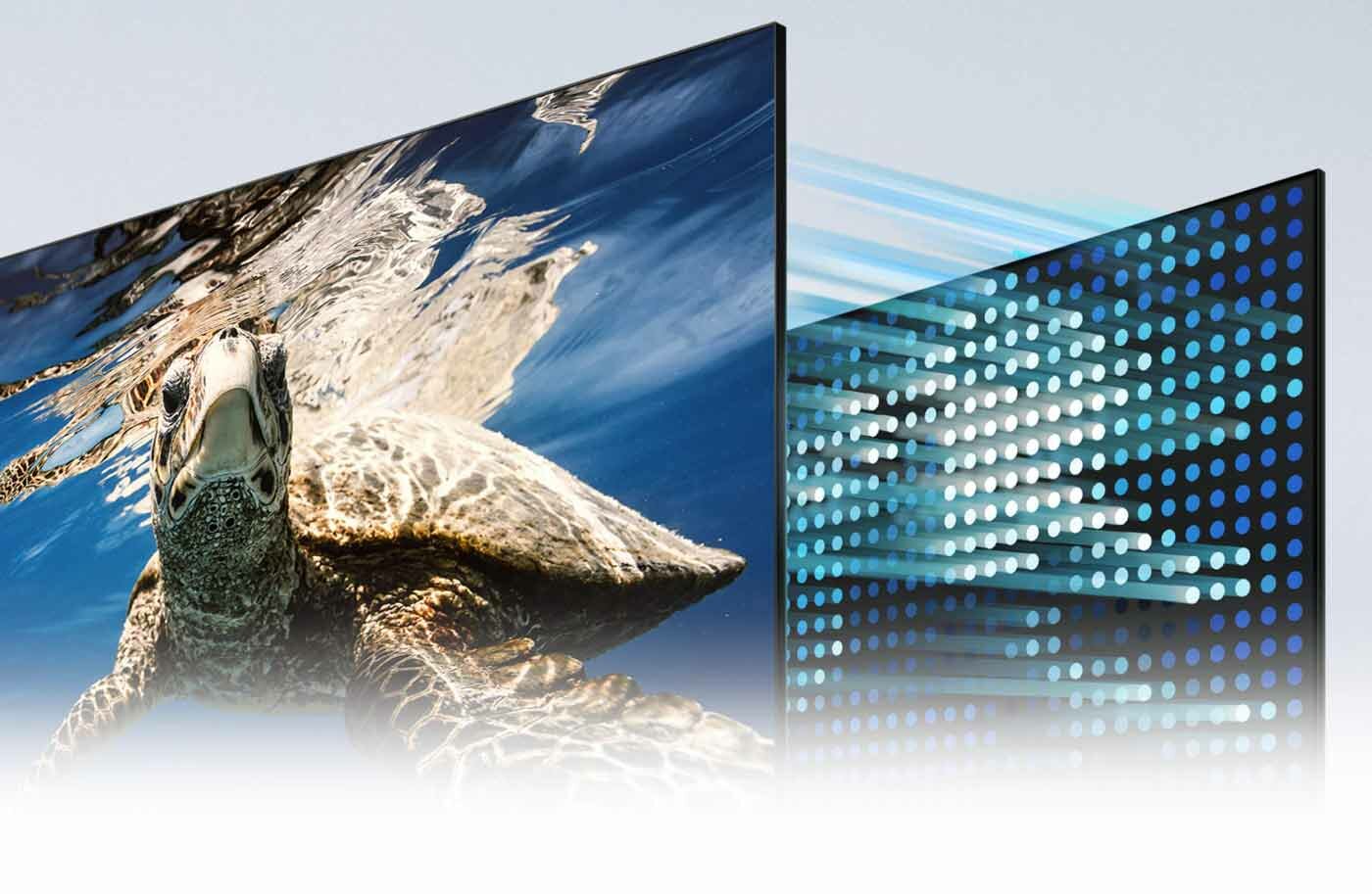 phpTxPyX0 glebokaczern