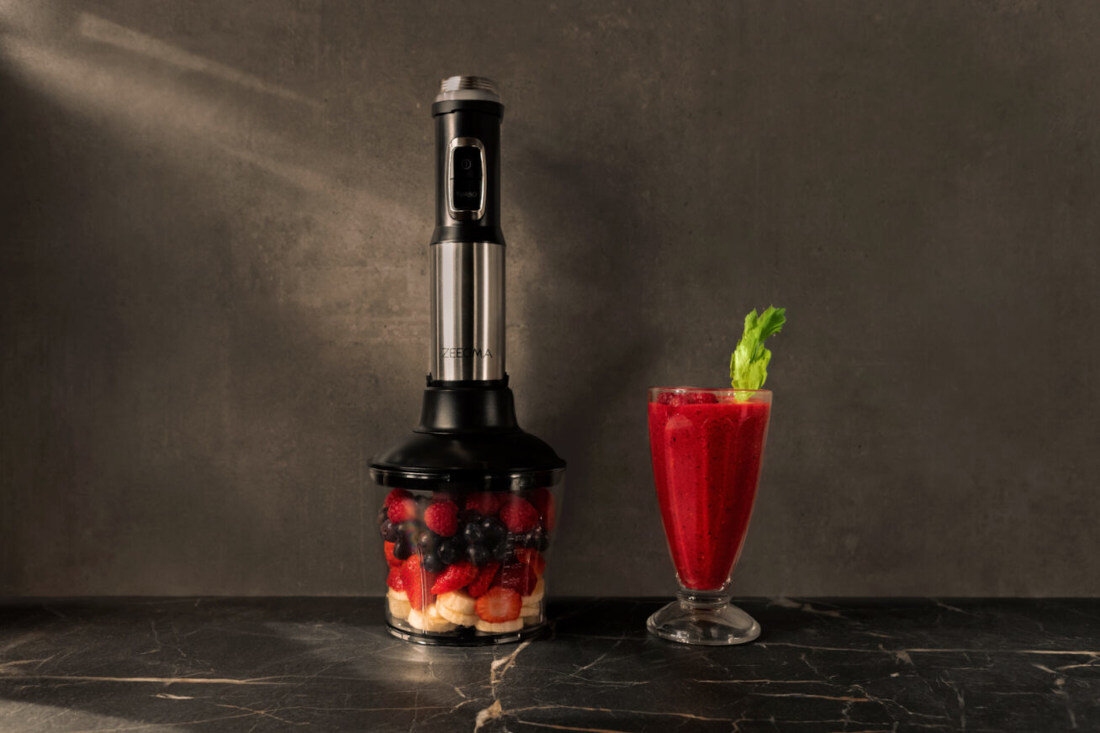 Blender ZEEGMA Handy Chef