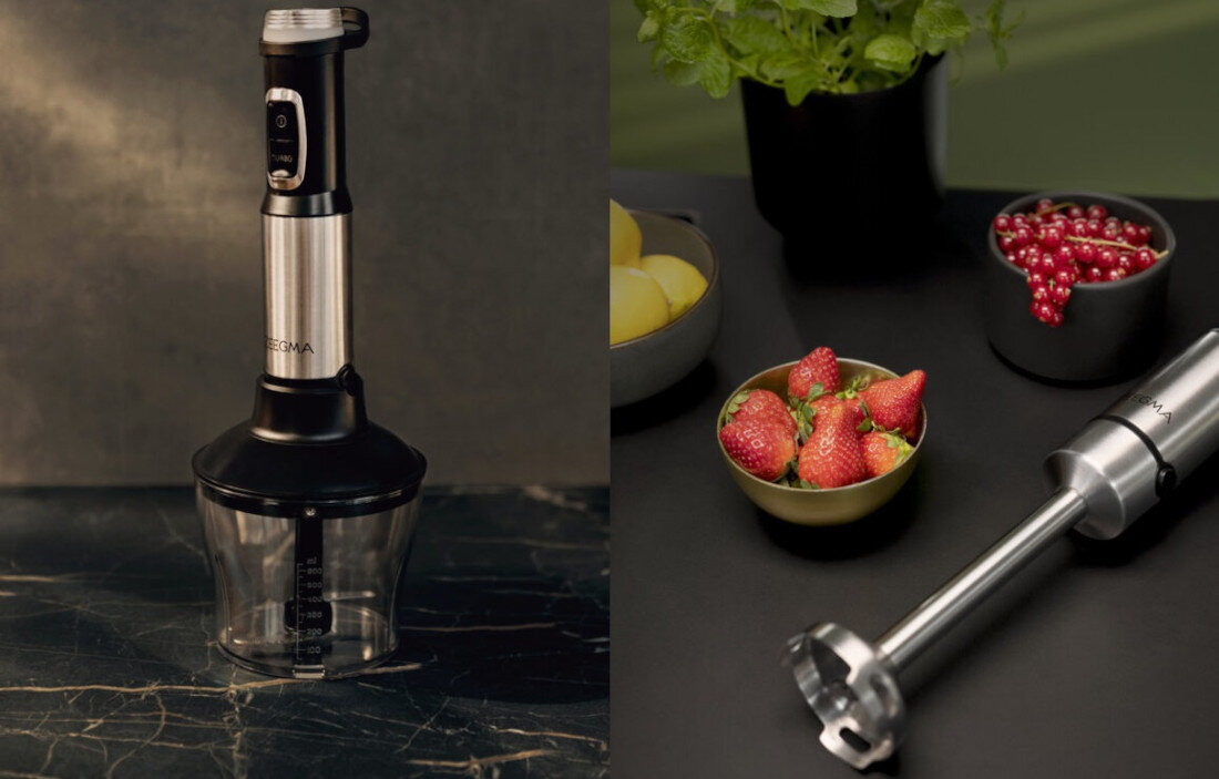Blender ZEEGMA Handy Chef