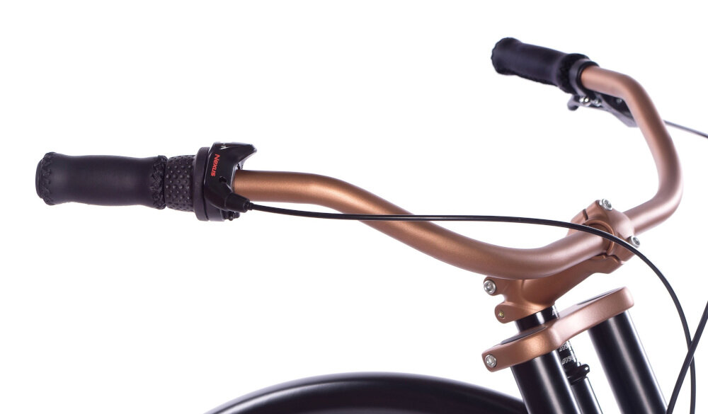 Rower miejski PLUMBIKE Grand Chopper Unique James 3B 26 cali męski Czarny kierownica typu MOON z aluminium lekka manetki pokryte antypoślizgowym materiałem dzwonek