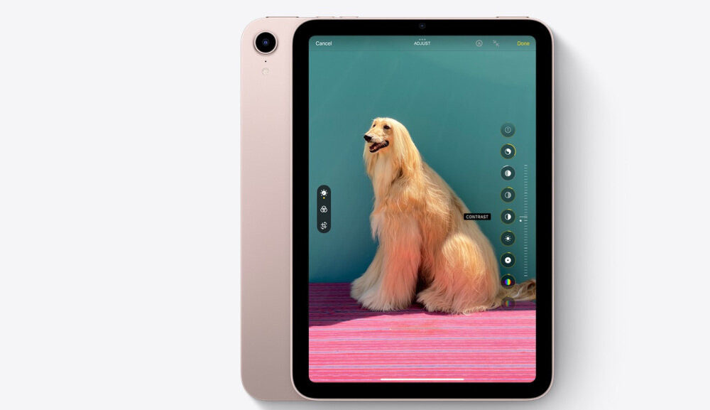 APPLE IPAD mini TECHNOLIGIA