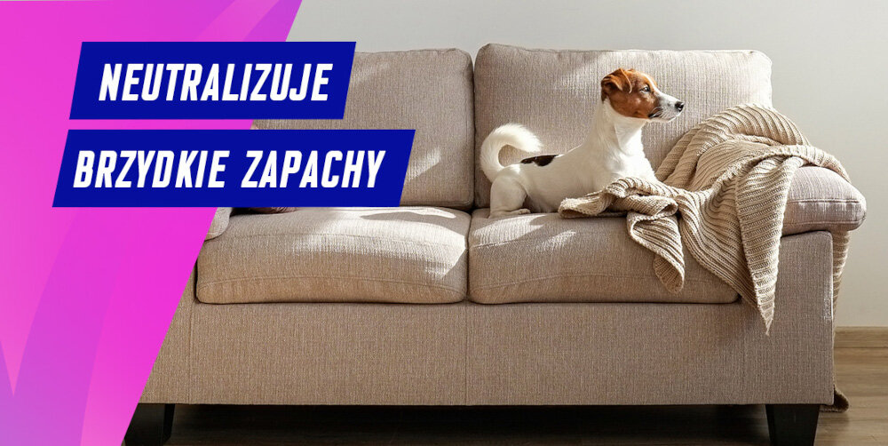 PROSZEK DO DYWANÓW VANISH GOLD CLEAN&FRESH 650G lifestyle sofa pies koc pokój Neutralizuje brzydkie zapachy proszek skuteczne czyszczenie