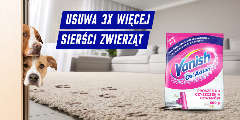 PROSZEK DO DYWANÓW VANISH GOLD CLEAN&FRESH 650G lifestyle psy dywan brud plamy do domu z pupilem zwierzęta usuwanie sierści włosów