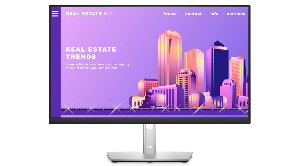Monitor DELL P2422H 24