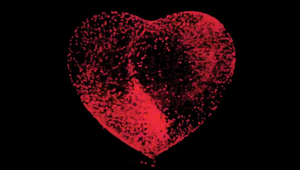 SMARTWATCH APPLE WATCH SERIES 7 zdrowie