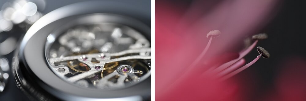 Obiektyw NIKKOR Z MC 105mm f-2.8 VR S  autofocus montaż ogniskowa przysłona zakres ostrość szkło soczewki zdjęcia aparat 