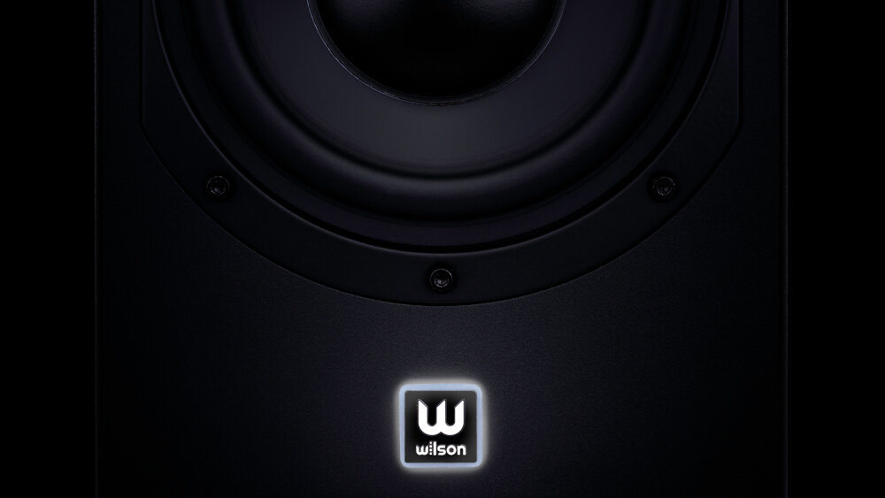 Zestaw stereo DENON DRA-800H + WILSON SIX POWER - budowa