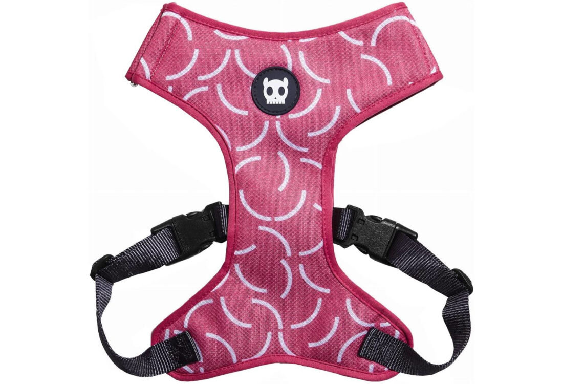 Szelki dla psa ZEE DOG Air Mesh Adjustable Nara L Dla Twojego pupila wygląd prezentacja design wizualizacja tło