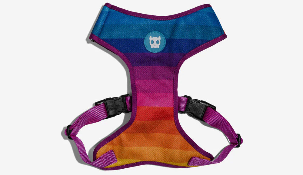 Szelki ZEE DOG Prisma Air Mesh XS Wielokolorowy Dla Twojego pupila wygląd design prezentacja z góry
