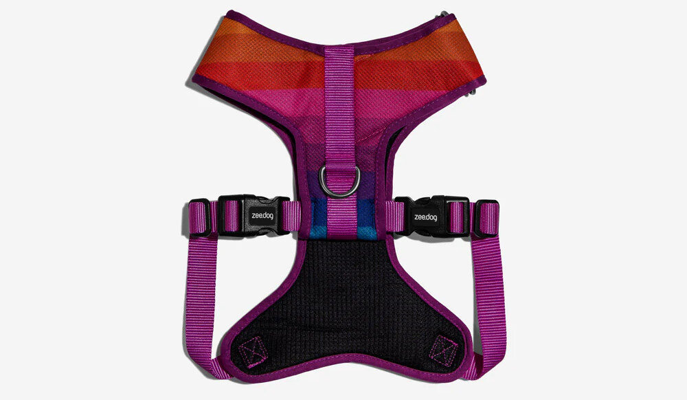 Szelki ZEE DOG Prisma Air Mesh XS Wielokolorowy oddychająca konstrukcja przewiewna siateczka cyrkulacja powietrza Miękki materiał
