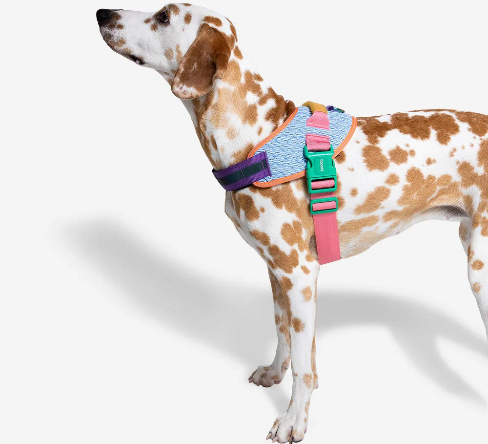Szelki ZEE DOG Wicked Fly Harness L Fioletowy Lekkie i wytrzymałe dzianina 3D trwa trwałe komfortowe