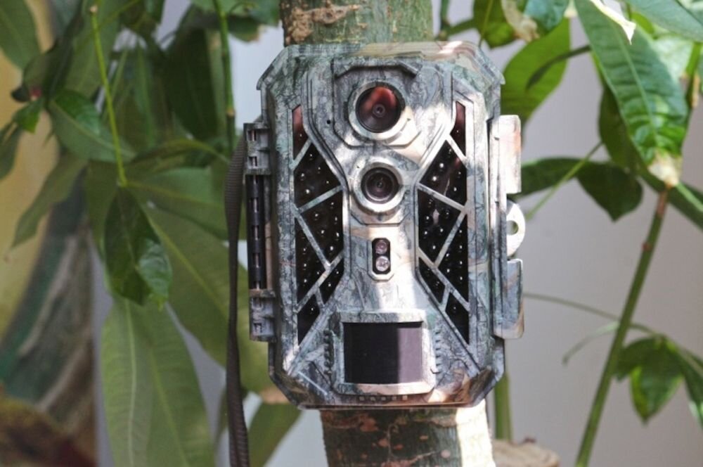 Fotopułapka BRAUN Scouting Cam Black 820 Dual Sensor zwierzęta polowanie czujnik rozdzielczość bateria zasilanie montaż czuwanie obudowa