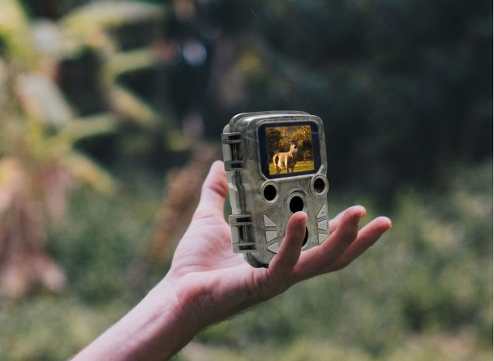 Fotopułapka BRAUN Scouting Cam Black 800 Mini zwierzęta polowanie czujnik rozdzielczość bateria zasilanie montaż czuwanie obudowa