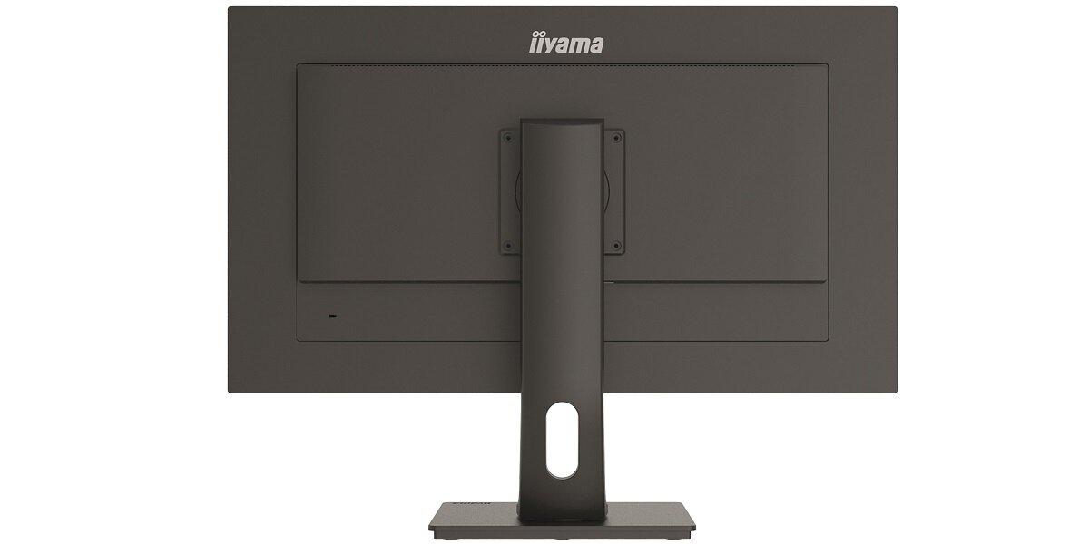 Monitor IIYAMA ProLite XUB2893UHSU-B1 Możliwość zawieszenia na ścianie