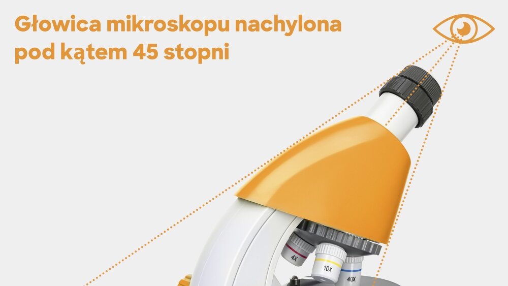 Mikroskop DISCOVERY Micro z książką układ optyczny obiektywy konstrukcja lekkość preparaty zasilanie bateryjne książka edukacyjna głowica nachylenie okular dwupozycyjny