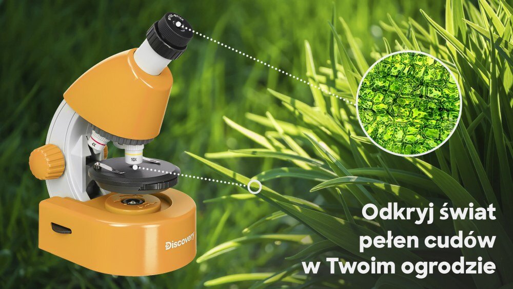 Mikroskop DISCOVERY Micro z książką układ optyczny obiektywy konstrukcja lekkość preparaty zasilanie bateryjne książka edukacyjna głowica nachylenie okular dwupozycyjny