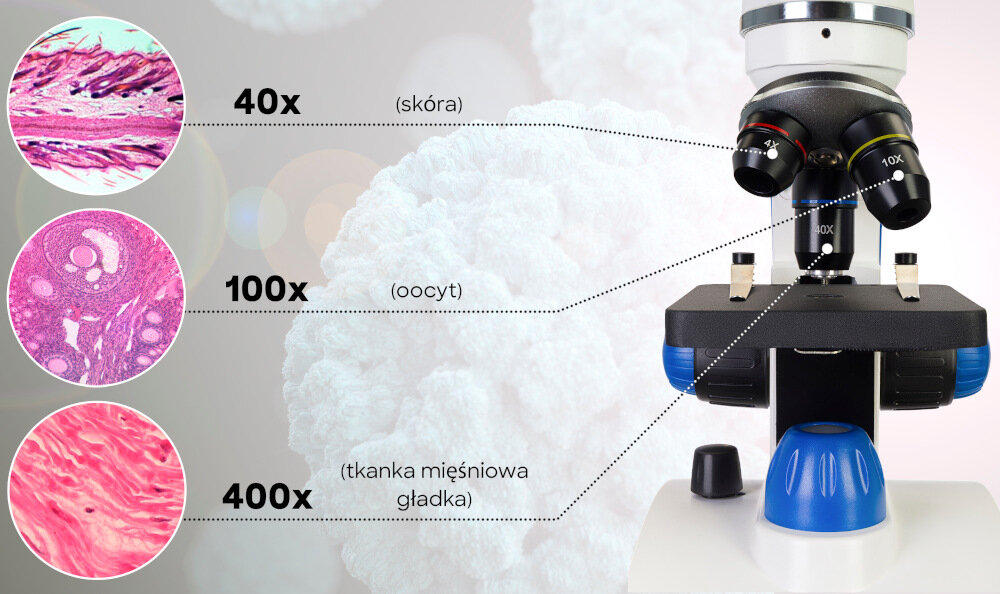 Mikroskop DISCOVERY Pico z książką Terra odkrycie wysoka jakość układy optyczneoświetlenie obrotowa głowica regulacja ostrości książka konstrukcja zestaw
