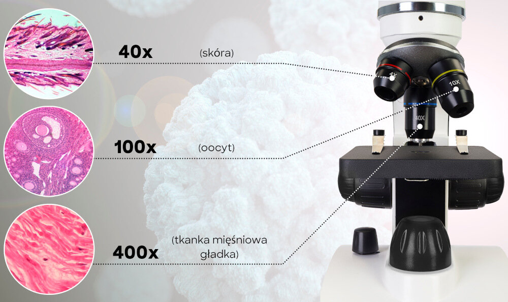 Mikroskop DISCOVERY Pico z książką Terra odkrycie wysoka jakość układy optyczneoświetlenie obrotowa głowica regulacja ostrości książka konstrukcja zestaw