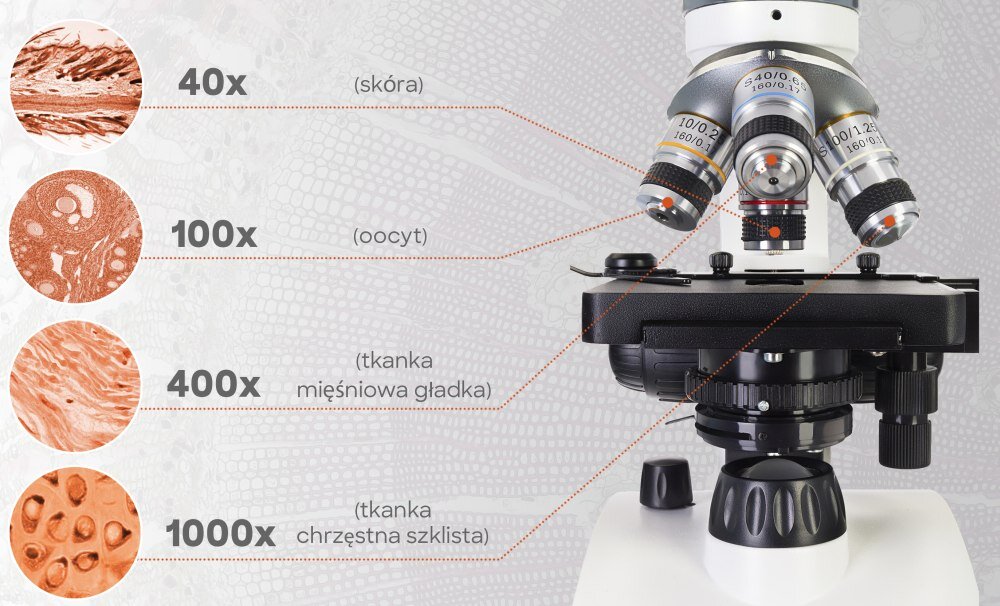 Mikroskop DISCOVERY Attoodkrycie wysoka jakość układy optyczneoświetlenie obrotowa głowica regulacja ostrości książka konstrukcja zestaw