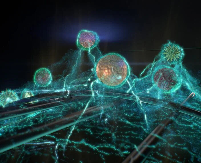 Suszarka REMINGTON D5706 Curl & Straight Confidence