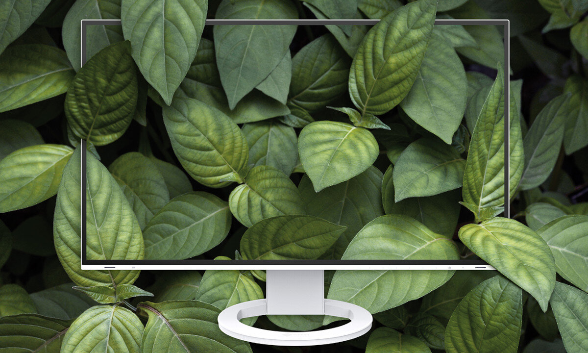 Monitor EIZO FlexScan EV2485-WT zastosowanie cechy funkcje