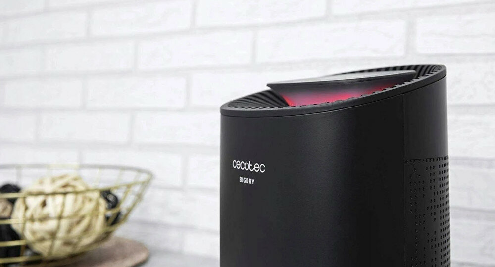 Oczyszczacz powietrza STADLER FORM Roger Big 2)