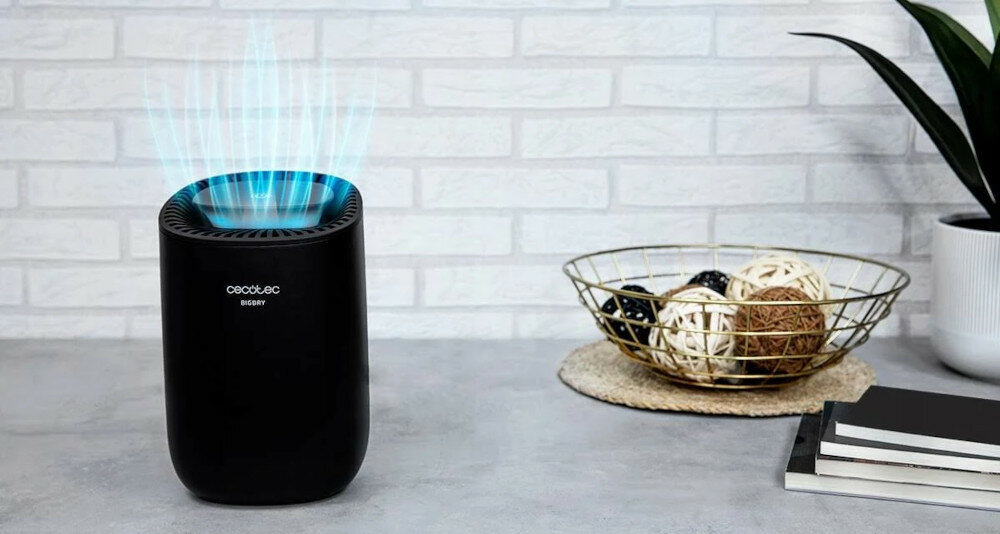 Oczyszczacz powietrza STADLER FORM Roger Big 2)