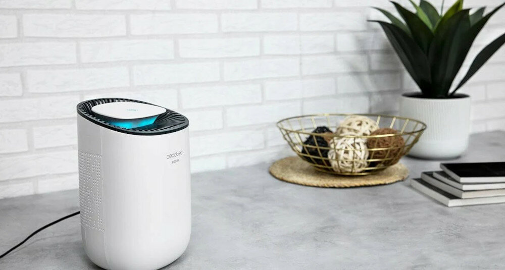 Oczyszczacz powietrza STADLER FORM Roger Big 2)