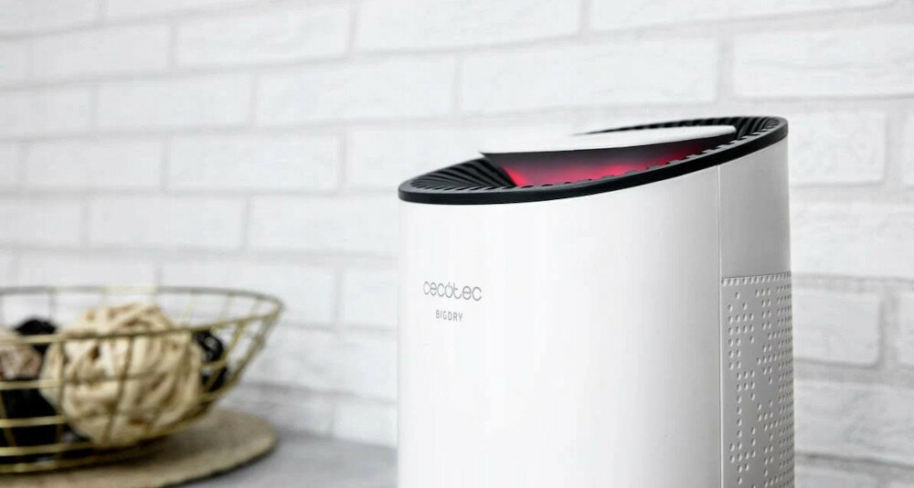 Oczyszczacz powietrza STADLER FORM Roger Big 2)