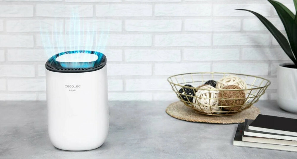 Oczyszczacz powietrza STADLER FORM Roger Big 2)