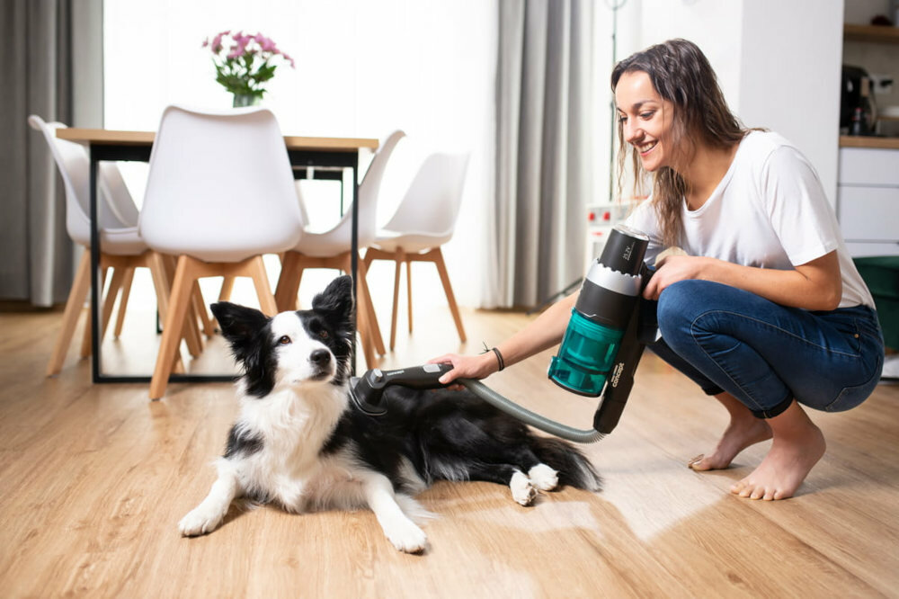 Odkurzacz CONCEPT Iconic Animal Smart VP6110 Szczotka PET do futra zwierzecego