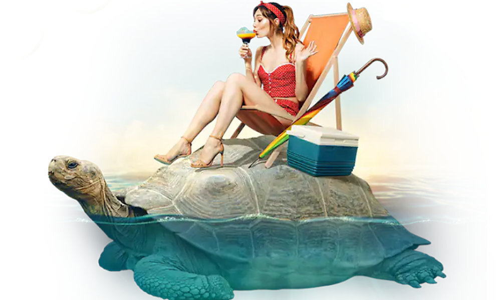 Corel Draw Graphics Suite Special Edition 2021 styl