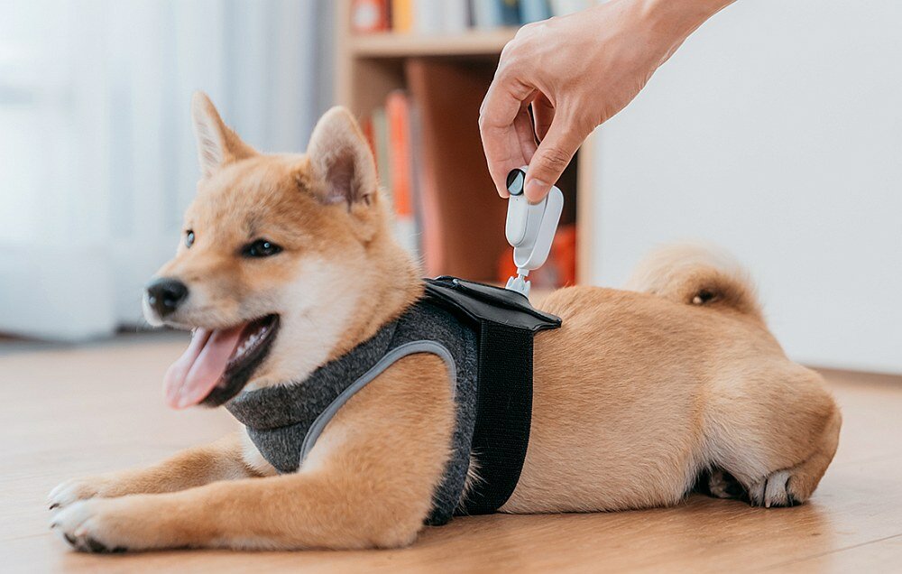 Kamera sportowa INSTA360 Go 2 obraz filmy matryca rozdzielczość  stabilizacja ładowanie bateria ładowanie montaż zdjęcia