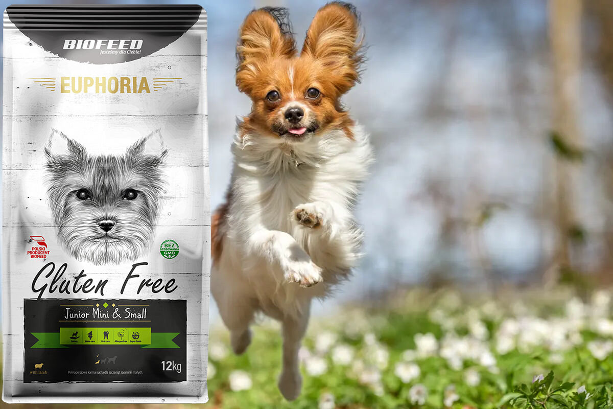 Karma dla psa BIOFEED Euphoria Gluten Free 12 kg dawkowanie analiza sklad