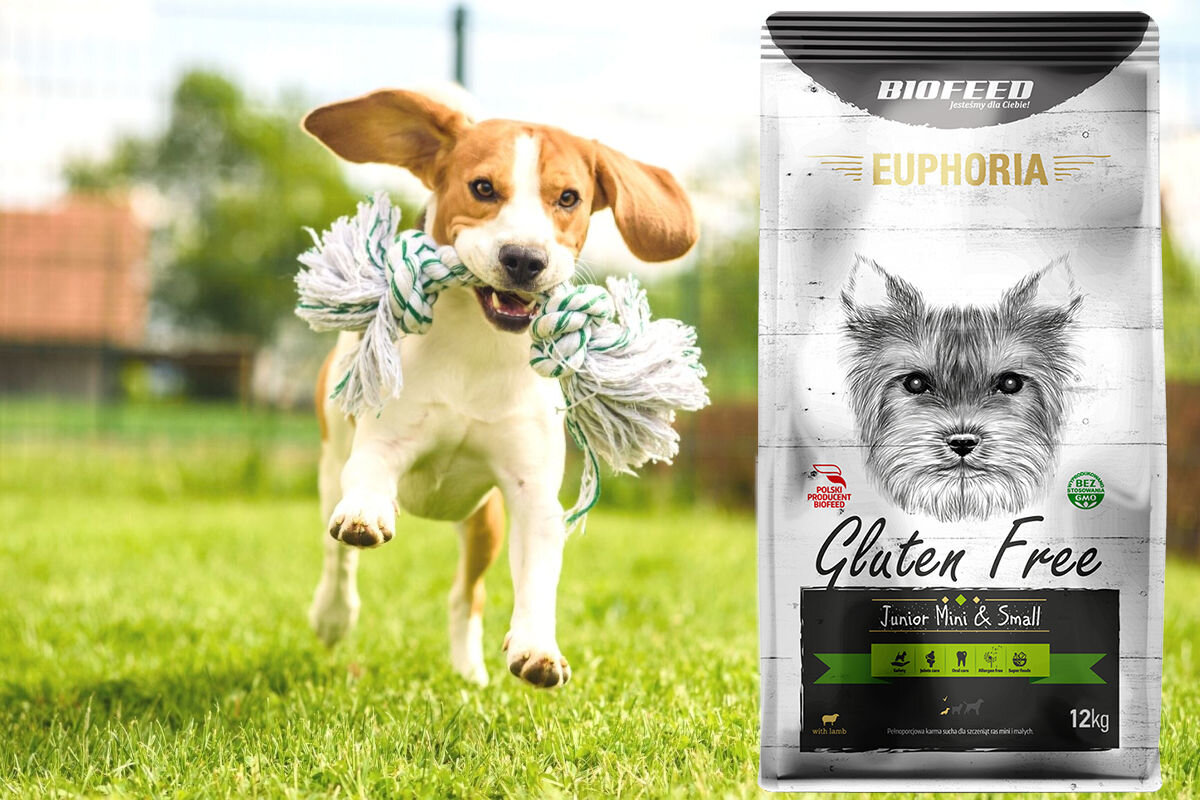 Karma dla psa BIOFEED Euphoria Gluten Free 12 kg witaminy pierwiastki aminokwasy