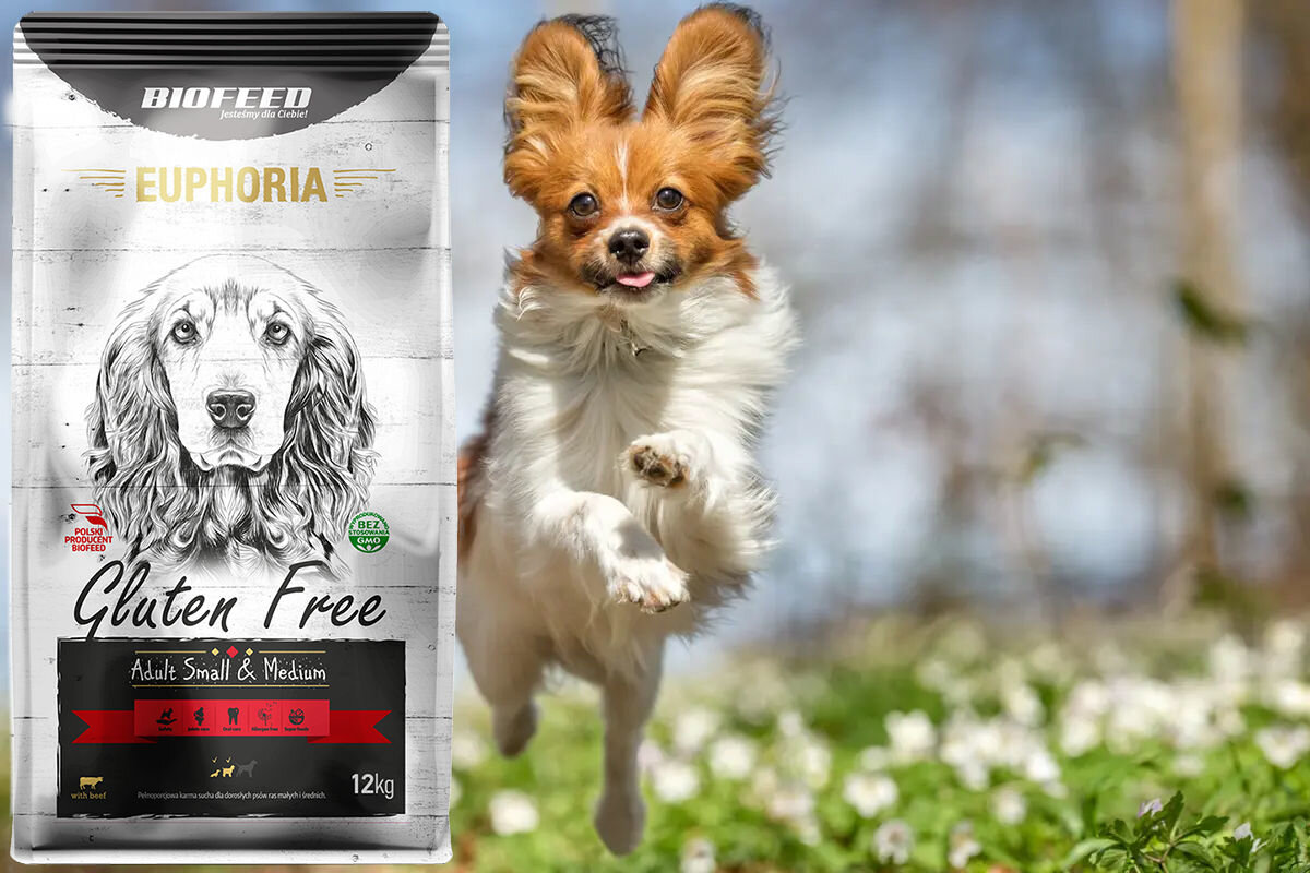 Karma dla psa BIOFEED Euphoria Gluten Free 12 kg witaminy pierwiastki aminokwasy