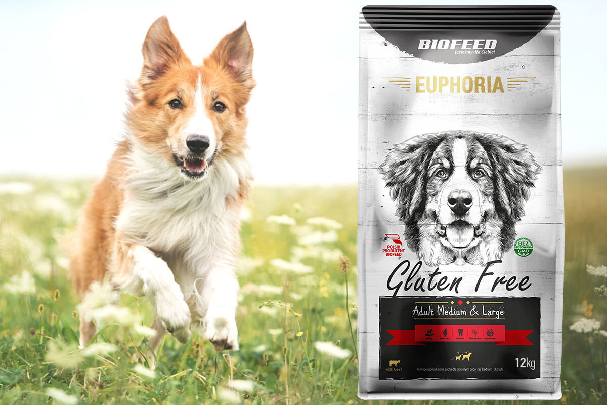 Karma dla psa BIOFEED Euphoria Gluten Free 12 kg dawkowanie analiza sklad