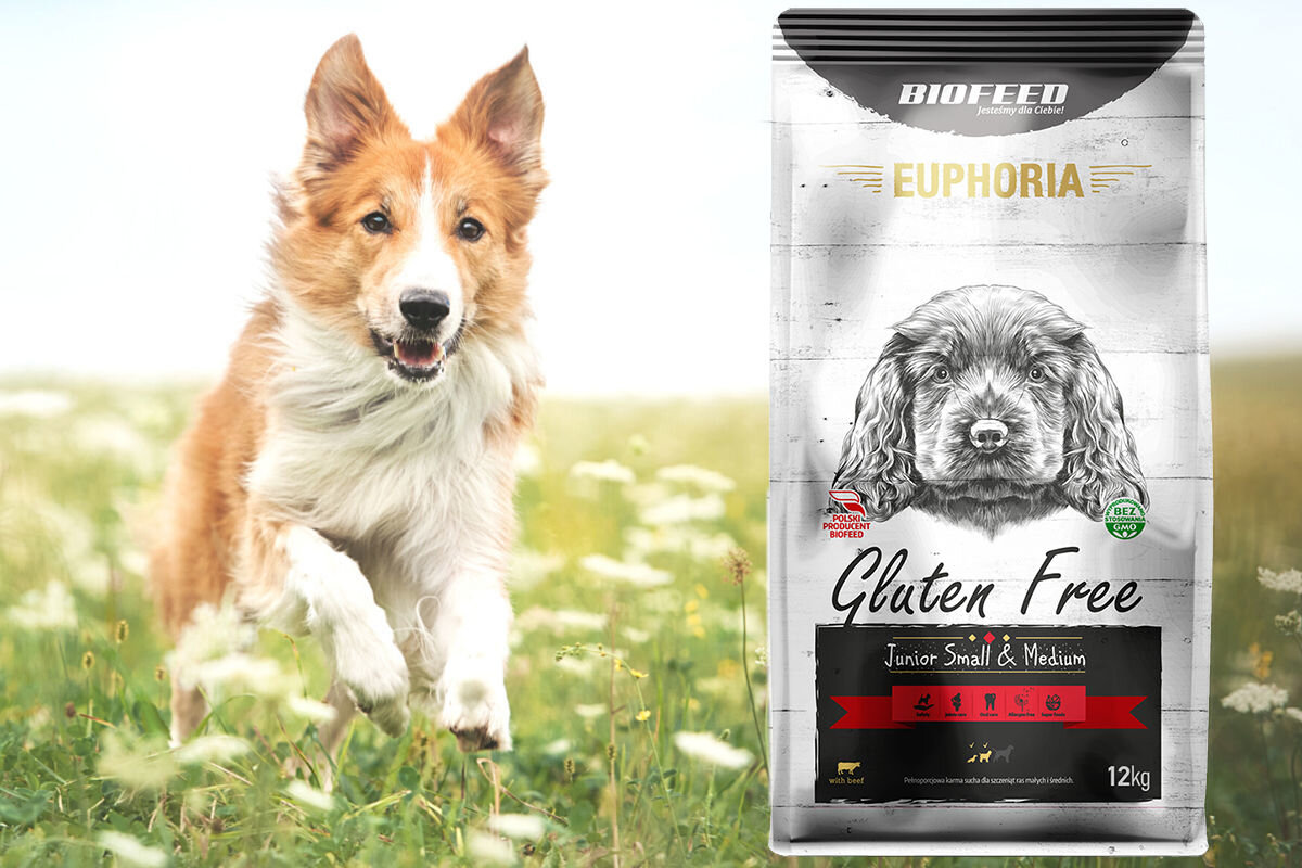 Karma dla psa BIOFEED Euphoria Gluten Free 12 kg dawkowanie analiza sklad
