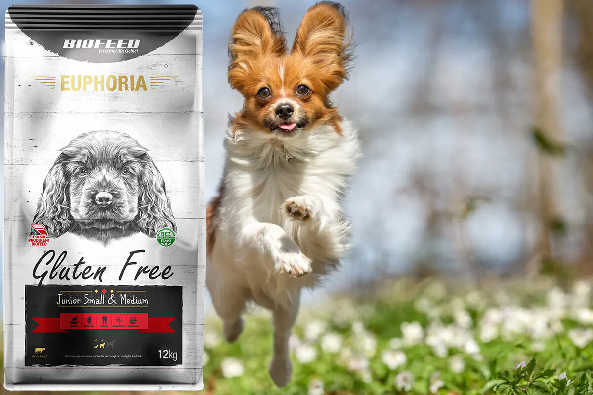 Karma dla psa BIOFEED Euphoria Gluten Free 12 kg witaminy pierwiastki aminokwasy