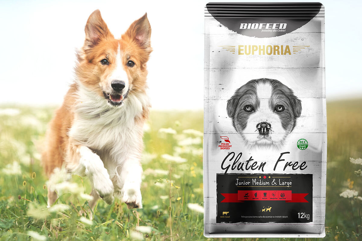 Karma dla psa BIOFEED Euphoria Gluten Free 12 kg dawkowanie analiza sklad