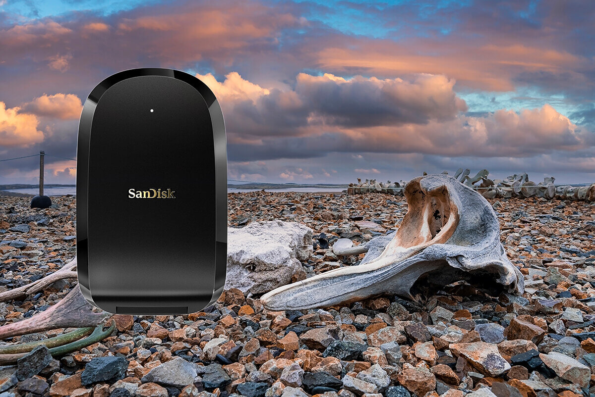 karta sandisk zdjecie lifestyle